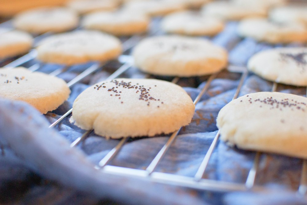 Persian Cookies 3